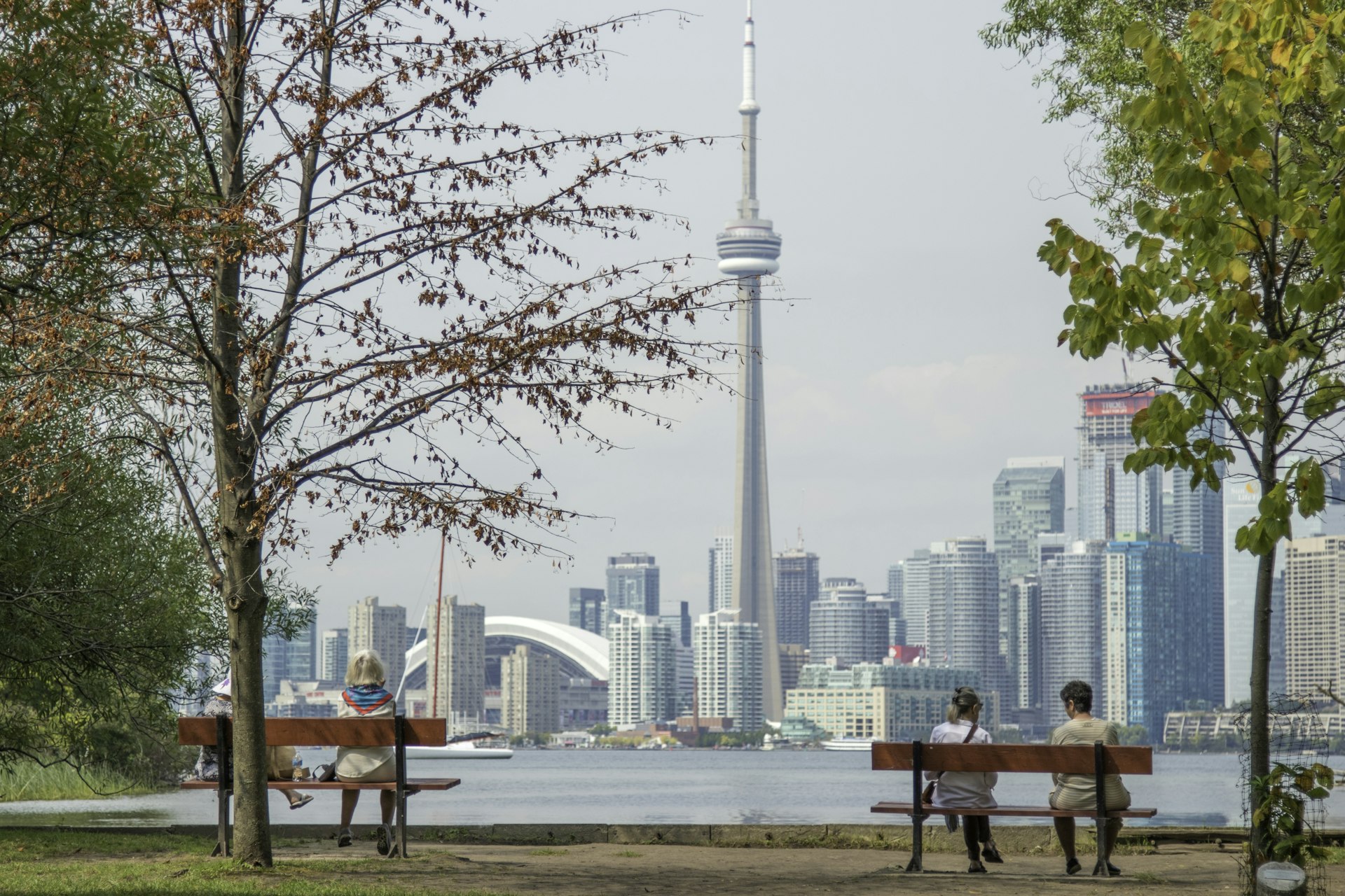 Toronto skyline representing the community Zen Protective Services serves